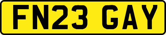 FN23GAY