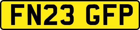FN23GFP