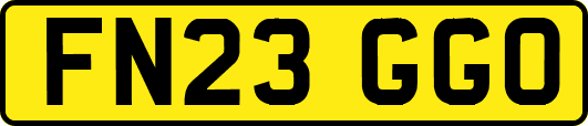 FN23GGO
