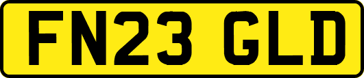 FN23GLD