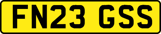FN23GSS