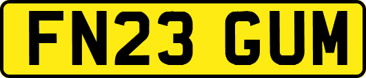 FN23GUM