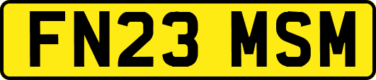 FN23MSM