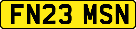 FN23MSN
