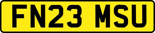 FN23MSU