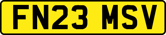 FN23MSV