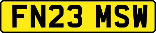 FN23MSW