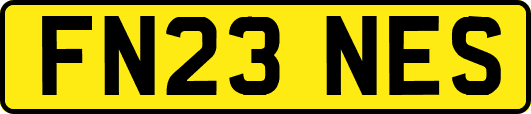 FN23NES