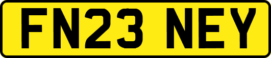 FN23NEY