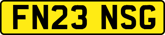 FN23NSG