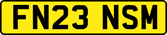 FN23NSM