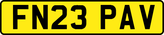 FN23PAV