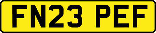 FN23PEF