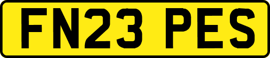 FN23PES