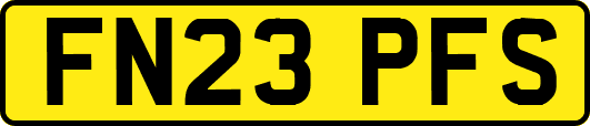 FN23PFS