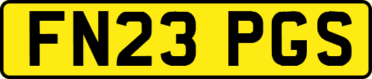 FN23PGS