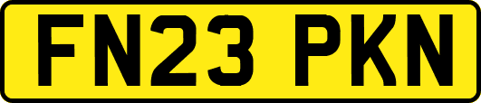 FN23PKN