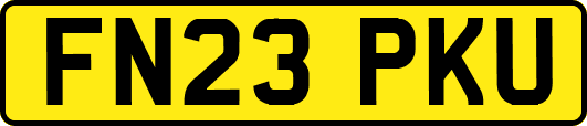 FN23PKU