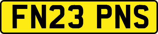 FN23PNS