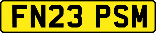 FN23PSM