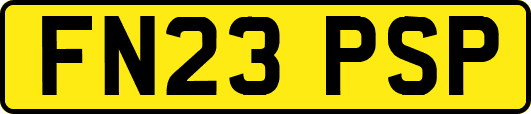 FN23PSP