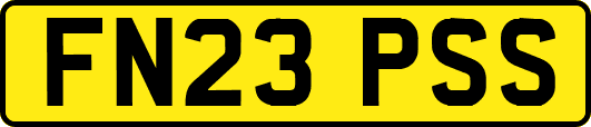 FN23PSS