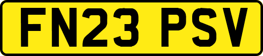 FN23PSV