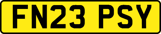 FN23PSY