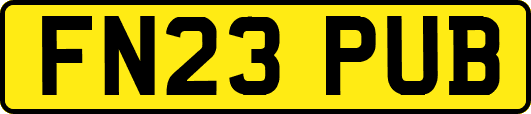 FN23PUB