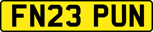 FN23PUN