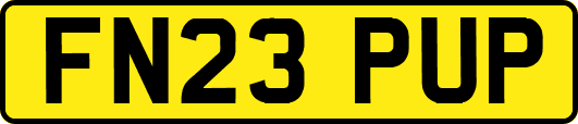 FN23PUP