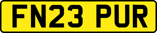 FN23PUR