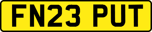 FN23PUT