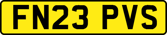 FN23PVS