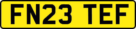 FN23TEF