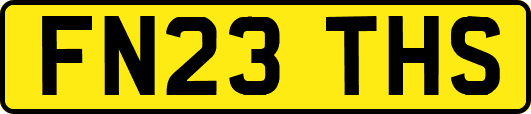 FN23THS
