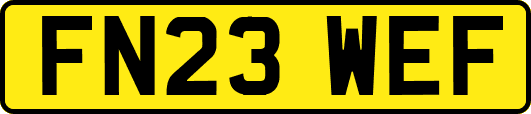FN23WEF