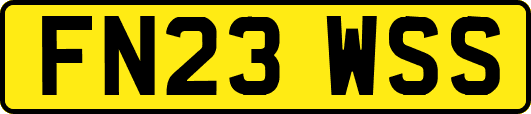 FN23WSS