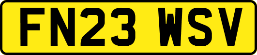 FN23WSV