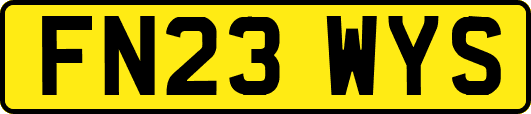 FN23WYS