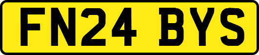 FN24BYS