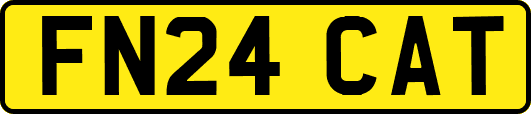 FN24CAT