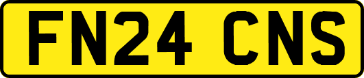 FN24CNS