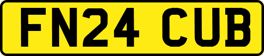 FN24CUB