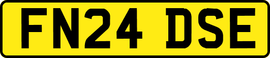 FN24DSE