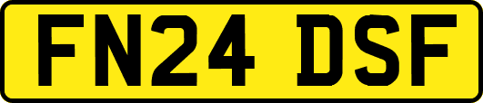 FN24DSF