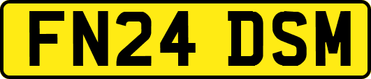 FN24DSM