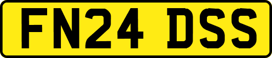 FN24DSS