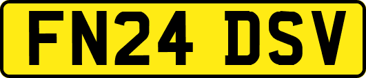 FN24DSV