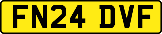 FN24DVF